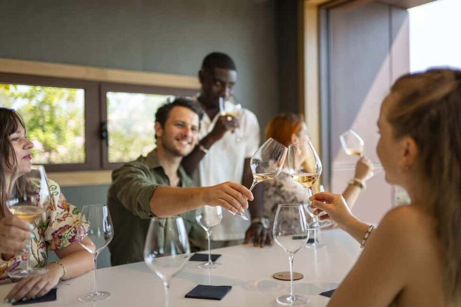 Provence Wine Tour - Small Group Tour from Cannes - Who should book this Provence wine day?