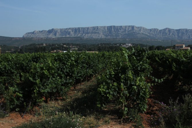 Provence Wineries and Luberon Villages Day Trip from Aix-en-Provence - Two Sainte-Victoire Wine Tastings in the Morning
