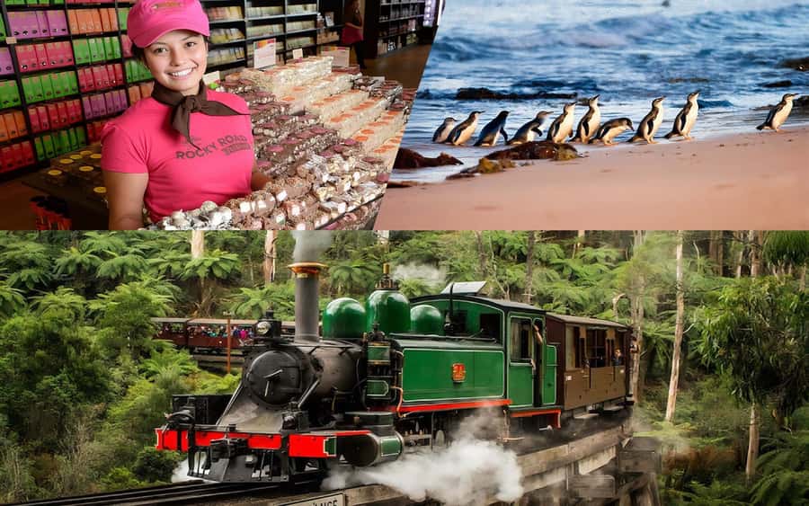 Puffing Billy Penguin Parade Winery Chocolaterie All-in-One - Why This 13-Hour Tour Works