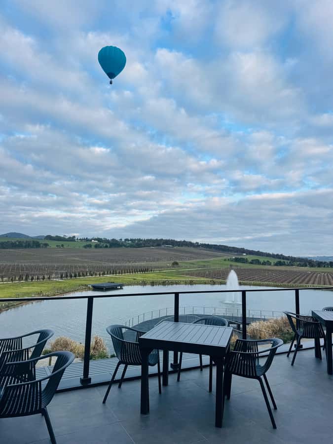 Puffing Billy Penguin Parade Winery Chocolaterie All-in-One - Maru Koala and Animal Park: A Useful Optional Stop