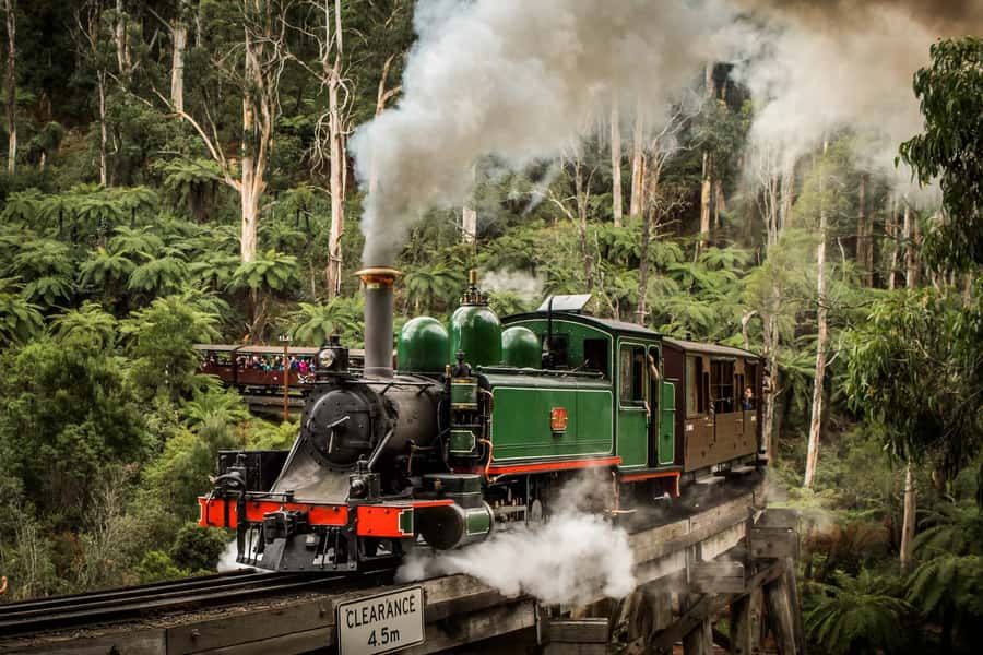 Puffing Billy Penguin Parade Winery Chocolaterie All-in-One - Rochford Wines and the Taste of Cool-Climate Victoria
