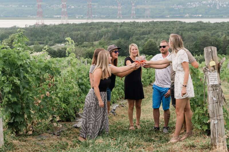 Quebec City: Island of Orleans Wine Tour - Key points at a glance