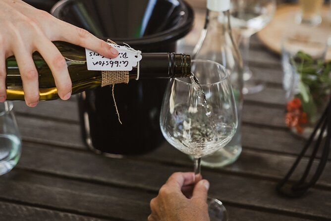 Queenstown: Afternoon Wine & Beer Tour with Platters - The guides are part of the experience