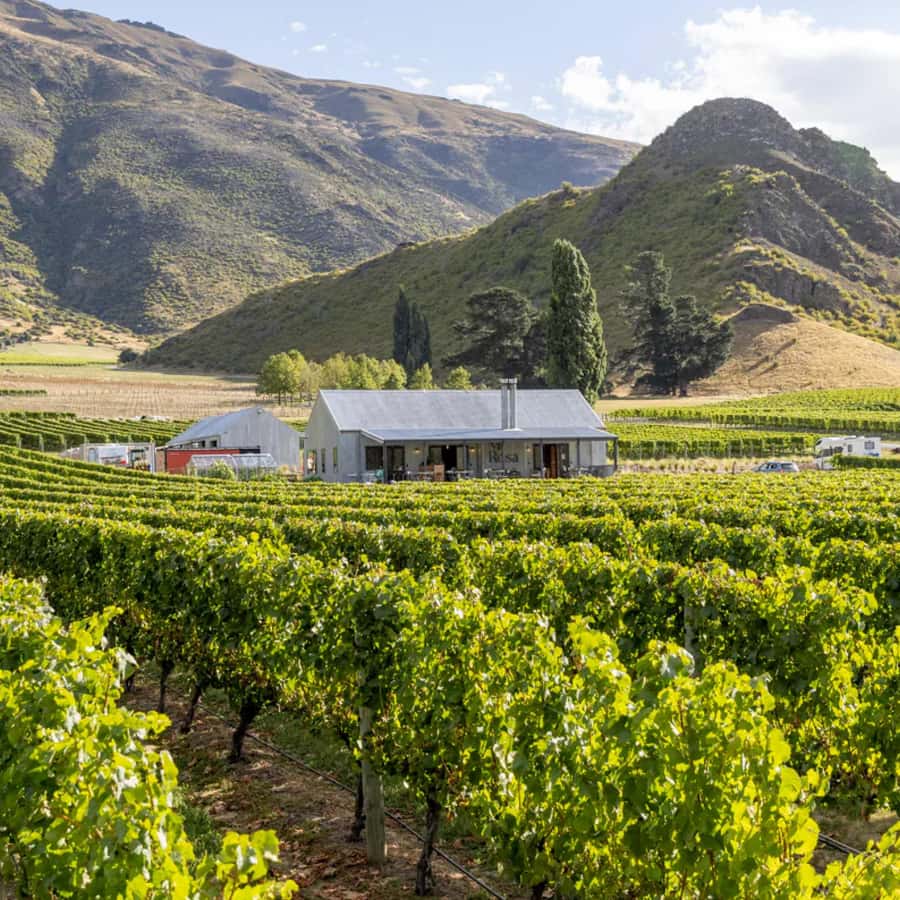 Queenstown, Arrowtown, Gibbston: Flexible Wine Hopper Tours - Key points to know before booking