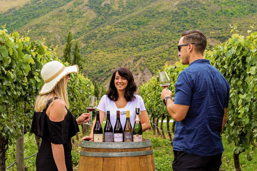 Queenstown: Classic Wine Tour - The three winery visits
