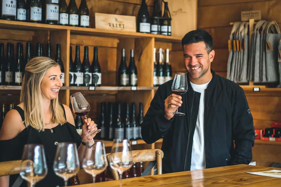 Queenstown: Classic Wine Tour - What the $142 price includes