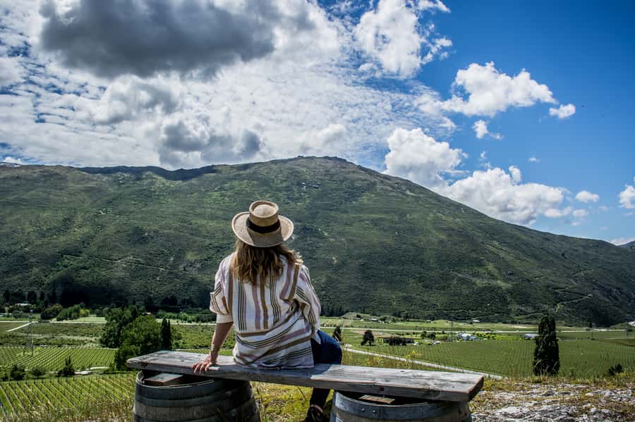 Queenstown & Gibbston Valley: Hop-On Hop-Off Wine Tours - Key points at a glance