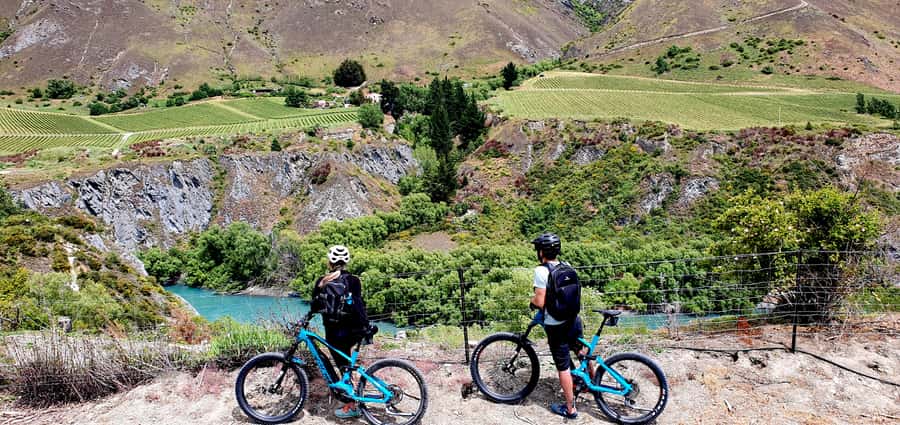 Queenstown: Guided E-Bike Tour with Winery Visits & Tastings - What makes this Queenstown e-bike tour special