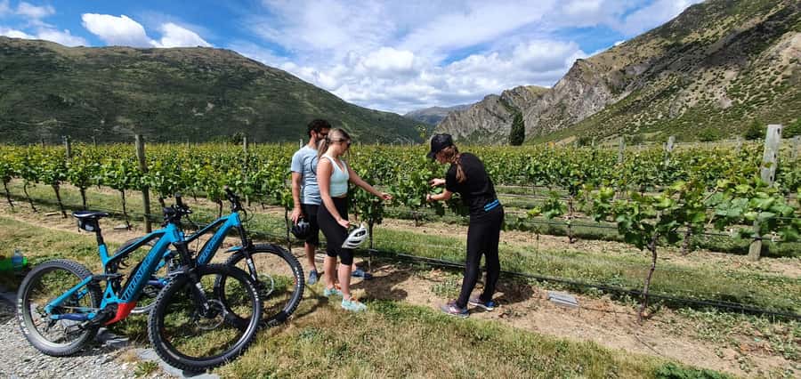 Queenstown: Guided E-Bike Tour with Winery Visits & Tastings - Crossing the Kawarau and stopping at bungy history