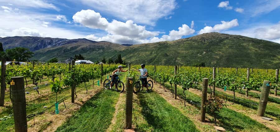 Queenstown: Guided E-Bike Tour with Winery Visits & Tastings - Why the e-bike matters on the gravel trail