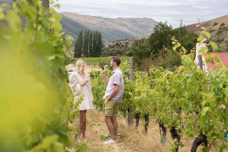 Queenstown: Original Premium Half-Day Gibbston Wine Tour - Key points to know