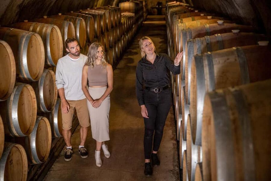 Queenstown: Wine & Food Tour, Scenic Tastings & Paired Lunch - A friendly guide can make or break the afternoon