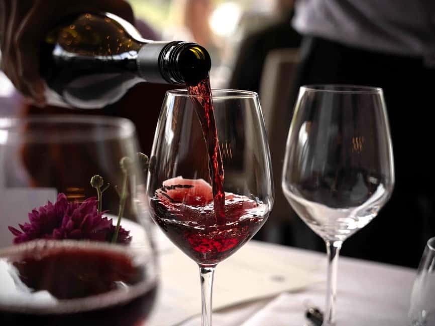 Queenstown: Wine & Food Tour, Scenic Tastings & Paired Lunch - Timing, comfort, and practical details