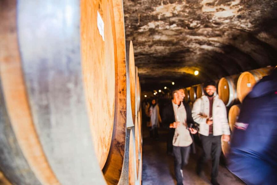 Queenstown: Wine Tasting Tour - Who should book this wine tour?