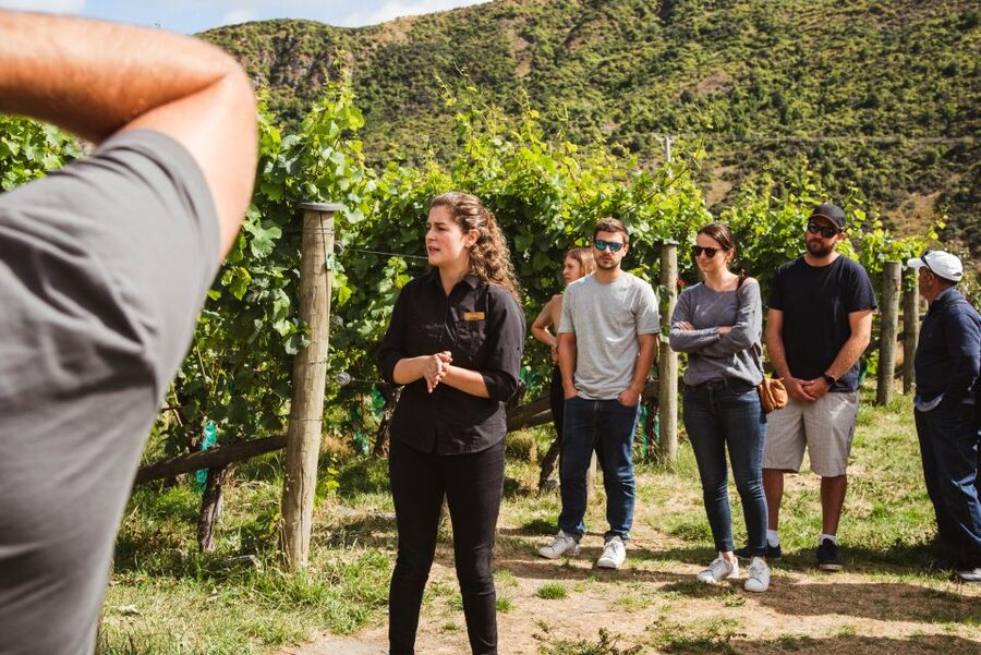 Queenstown: Wine Tasting Tour - The Church Tasting Room closes the day
