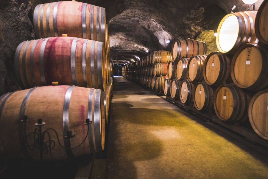 Queenstown: Wine Tasting Tour - A comfortable 10am start from Queenstown