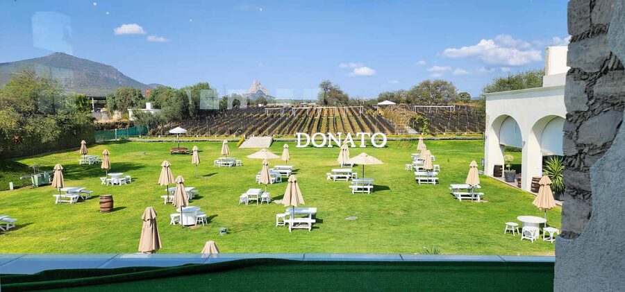 Querétaro: Bernal & Tequisquiapan Trip with Wine & Cheese - Tequisquiapan, with time to wander