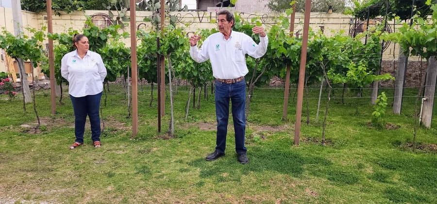 Querétaro: Bernal & Tequisquiapan Trip with Wine & Cheese - Should you book this Querétaro day trip?