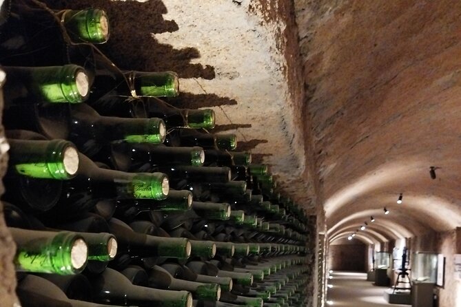 Quiero mas vino, valle de Guadalupe Tours - A six-hour introduction to Baja wine country