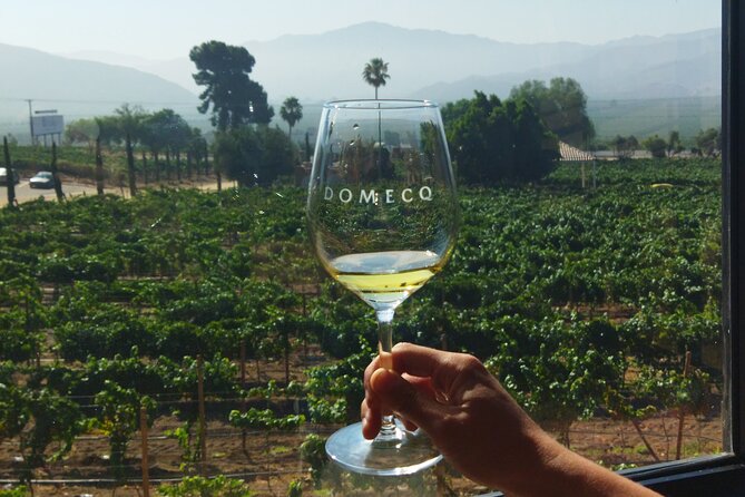 Quiero mas vino, valle de Guadalupe Tours - Decantos Vinicola combines wine with photographs