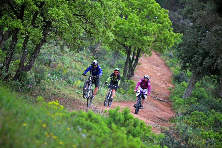 Ramatuelle: Tracks & Tasting Winery Tour by Mountain E-Bike - Winery Visits on Private Estates