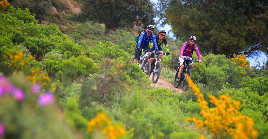 Ramatuelle: Tracks & Tasting Winery Tour by Mountain E-Bike - Sea Views Before the Winery Stops