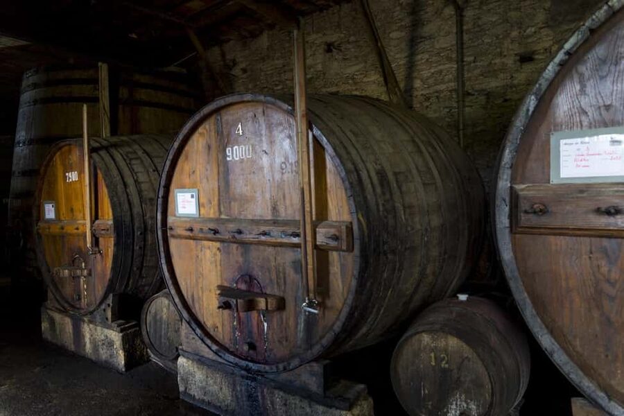 Régua: Wine tasting at a Quinta, traditional lunch, cruise, and train ride - Coimbra de Mattos and five Douro wines