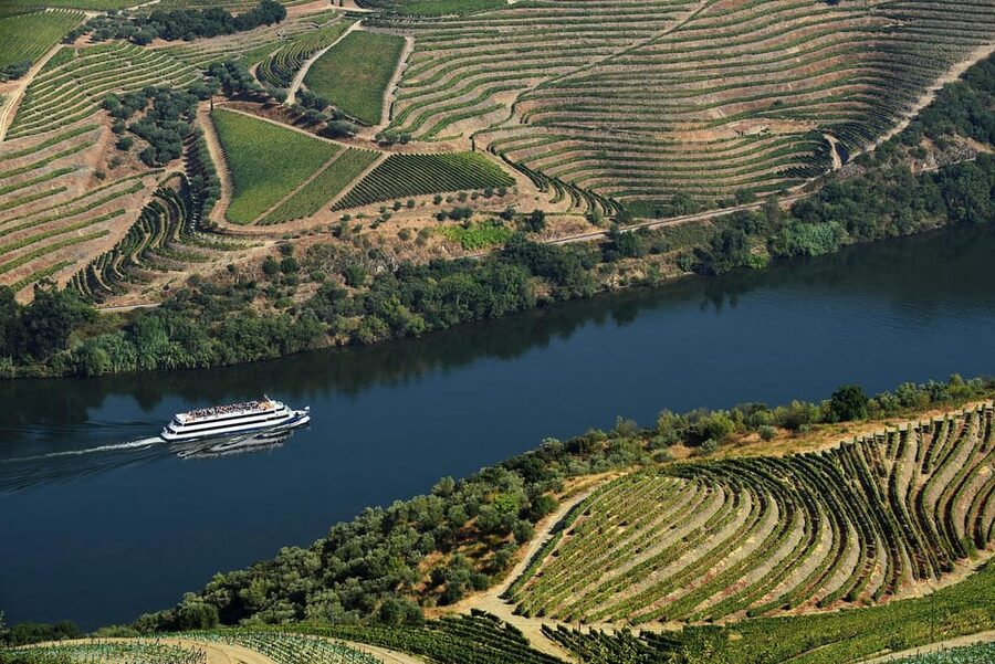 Régua: Wine tasting at a Quinta, traditional lunch, cruise, and train ride - How the guiding affects the day