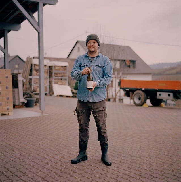 Reil, Mosel: Guided organic wine tasting and cellar tour - Key points at a glance