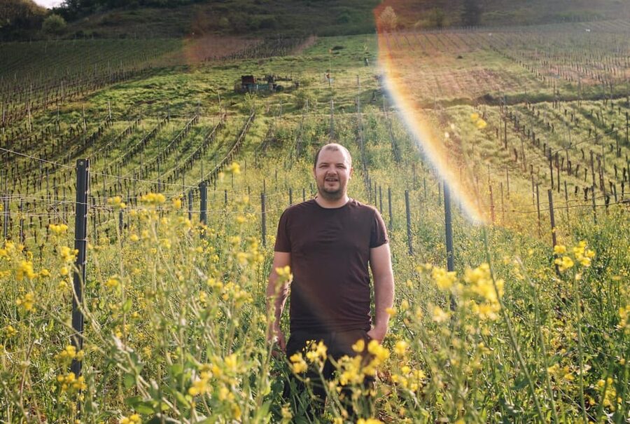 Reil, Mosel: Guided organic wine tasting and cellar tour - Is $29 a fair price?