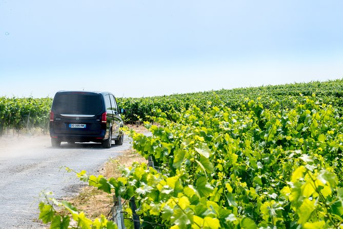 Reims afternoon tour Champagne and family growers - What your guide adds to the day