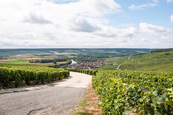 Reims afternoon tour Champagne and family growers - Practical details that affect your choice