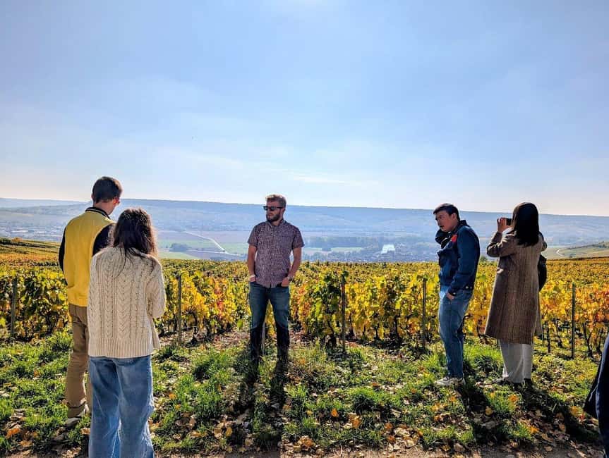 Reims: Moët & Chandon and Family-Run Winery Day Tour & Lunch - Key points at a glance