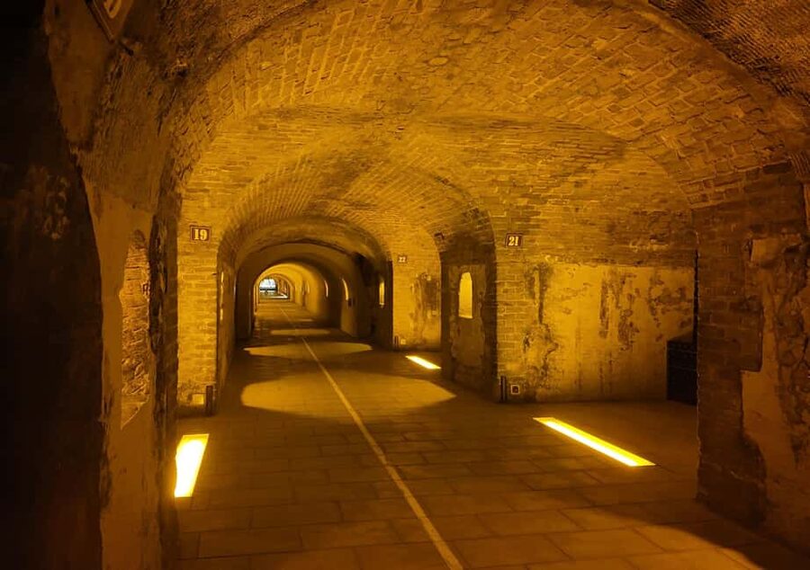 Reims: Moët & Chandon and Family-Run Winery Day Tour & Lunch - Who should book this tour?