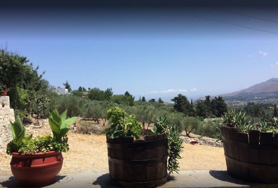 Rethymno: Private Winery & Olive Oil Tasting Tour with Lunch - At Kanakis olive oil mill, tasting Cretan oil properly