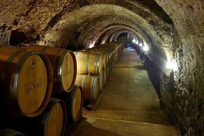 Ribera del Duero:4 Wineries, tasting & Lunch included from Madrid - First Taste: Tempranillo, Vineyards, and Old Cellars