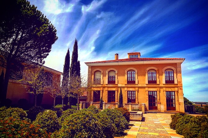 Ribera del Duero:4 Wineries, tasting & Lunch included from Madrid - What the Four-Winery Format Feels Like