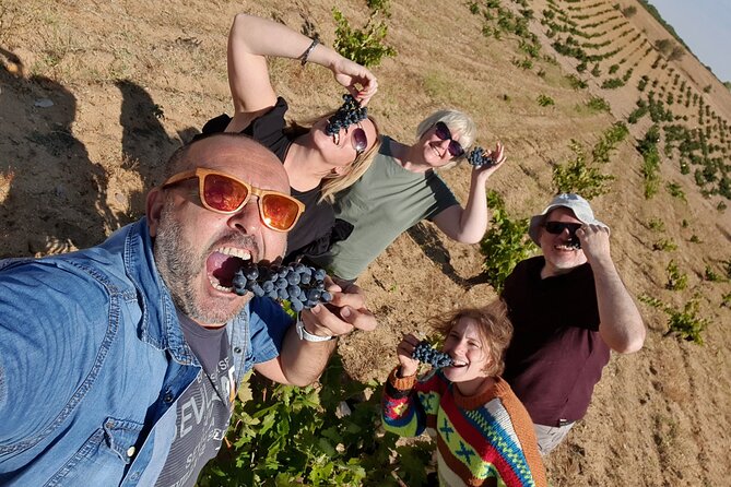 Ribera del Duero:4 Wineries, tasting & Lunch included from Madrid - Dominio de Cair and Barrel-Aged Ribera