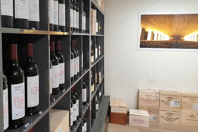 Ribera del Duero Underground Cellar & Wine Tasting Experience - Learning about Ribera del Duero from a local guide