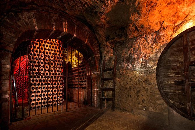 Ribera del Duero Underground Cellar & Wine Tasting Experience - The Ribera del Duero tasting