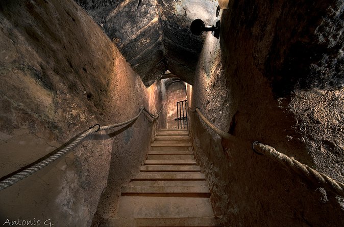 Ribera del Duero Underground Cellar & Wine Tasting Experience - Starting at Don Carlos Bodega Historica