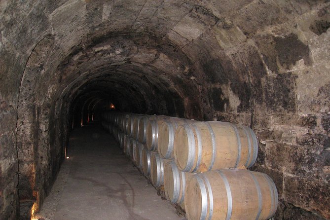 Ribera del Duero Wineries Guided Tour & Wine Tasting from Madrid - Why Ribera del Duero makes a strong day trip from Madrid
