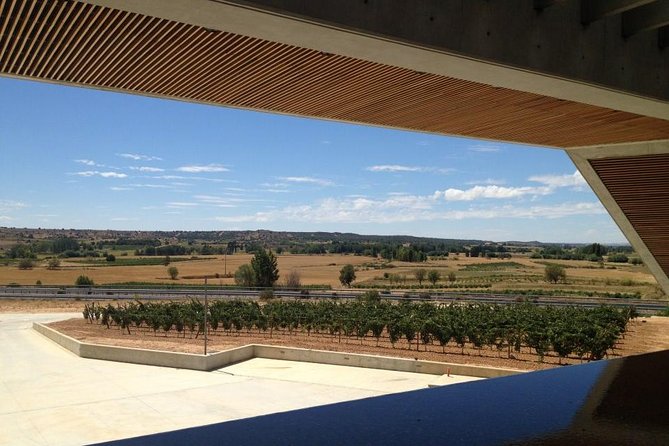 Ribera del Duero Wineries Guided Tour & Wine Tasting from Madrid - First winery: learning wine from grape to bottle