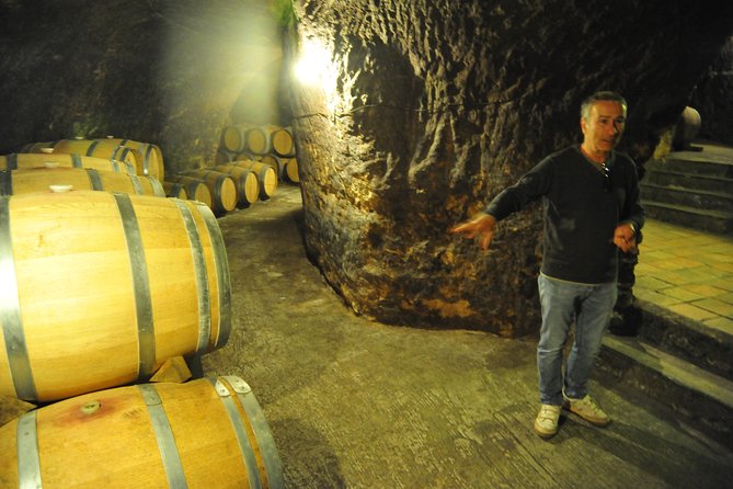 Ribera del Duero Wineries Guided Tour & Wine Tasting from Madrid - Second winery: modern design and open vineyard views