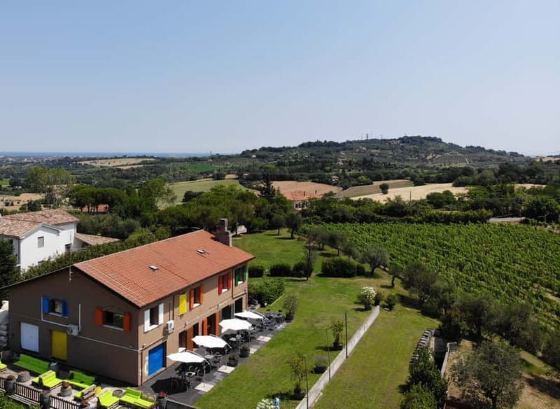 Rimini: San Valentino DOC Wine Tastings - Inside the cellar, where the wine takes shape
