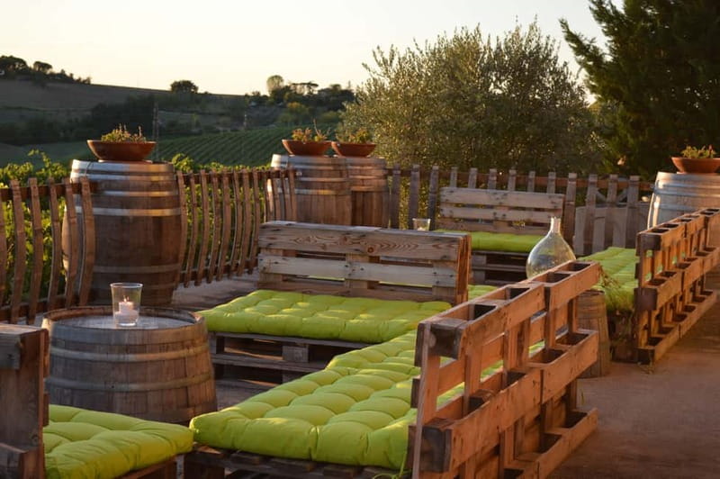 Rimini: San Valentino DOC Wine Tastings - Starting with the company, vineyards, and territory