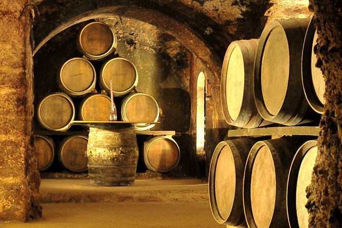 Rioja wine region with visit to winery & Vitoria-Gasteiz - Key points to know before booking