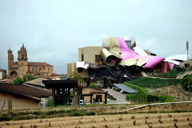 Rioja wine region with visit to winery & Vitoria-Gasteiz - Comfort, group size, and pace