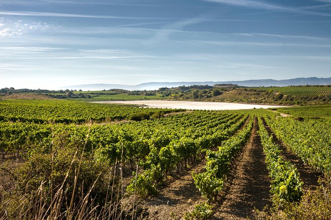 Rioja Wine Tour: 2 Wineries From Bilbao - Why Rioja works well as a day trip from Bilbao