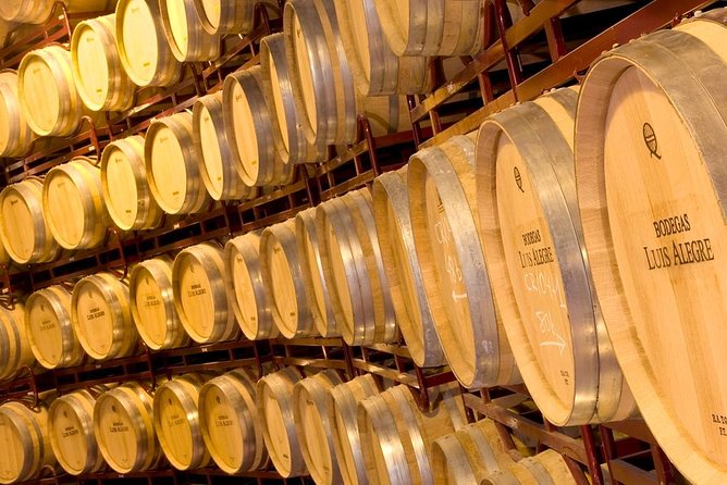 Rioja Wine Tour: 2 Wineries From Bilbao - Five wines, with lunch in Laguardia